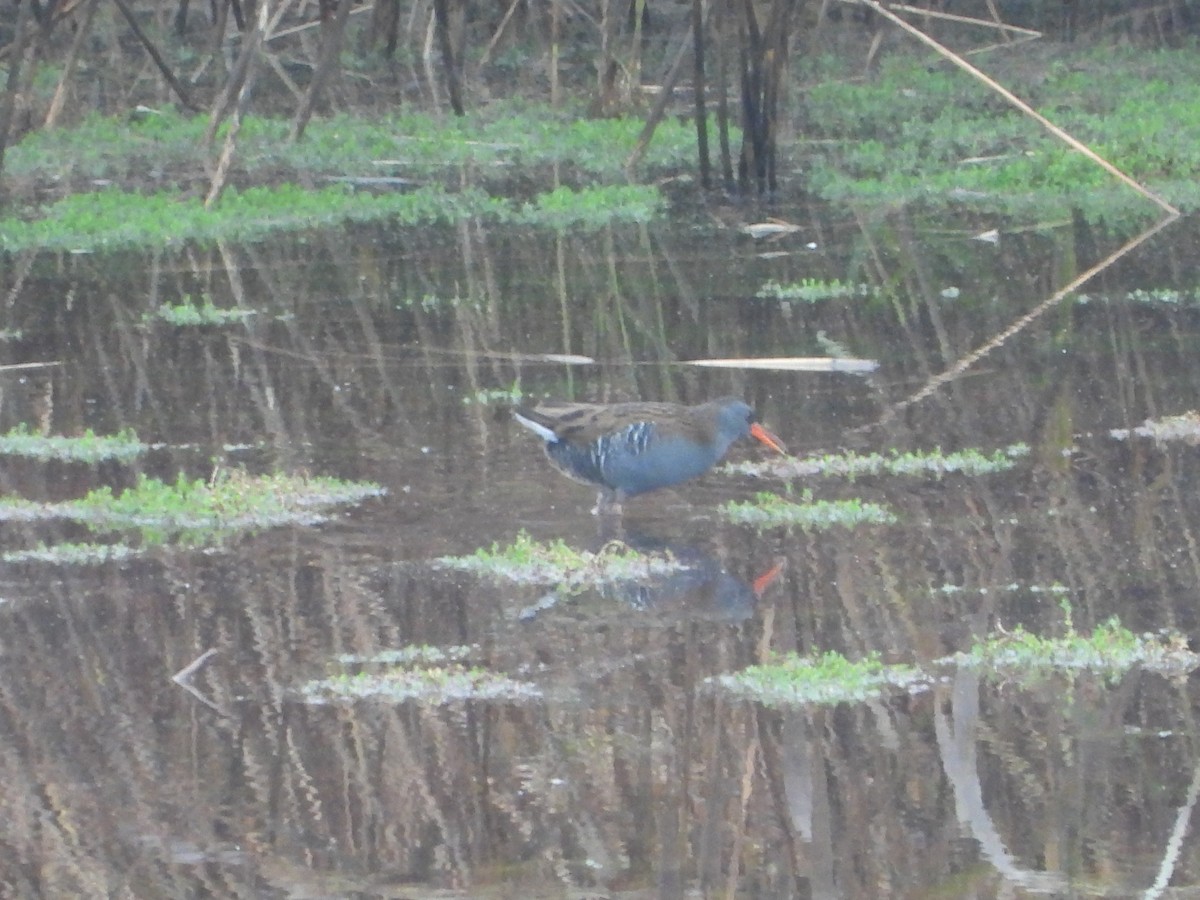 Усны түнжүүр - ML645269517