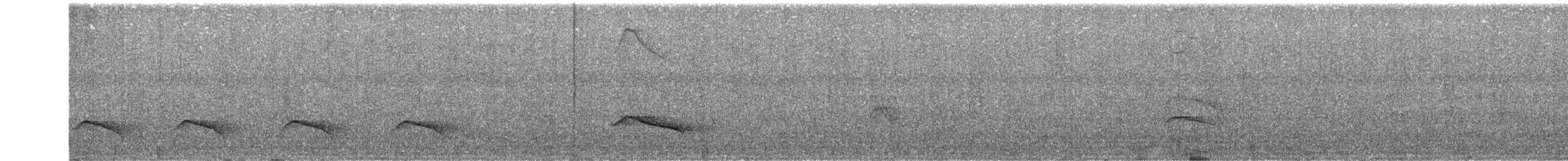 Ocellated Tapaculo - ML645270047