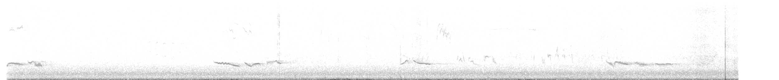 drozd brávník - ML645270497