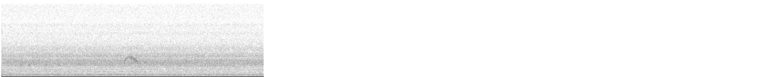 Gray-cheeked Thrush - ML645270923