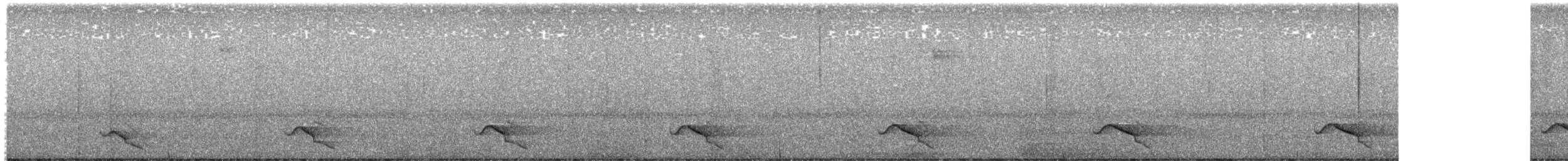 Ocellated Tapaculo - ML645271040