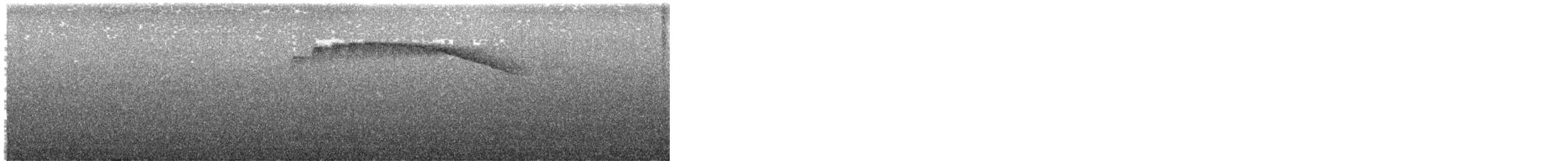 Green-and-black Fruiteater - ML645271315