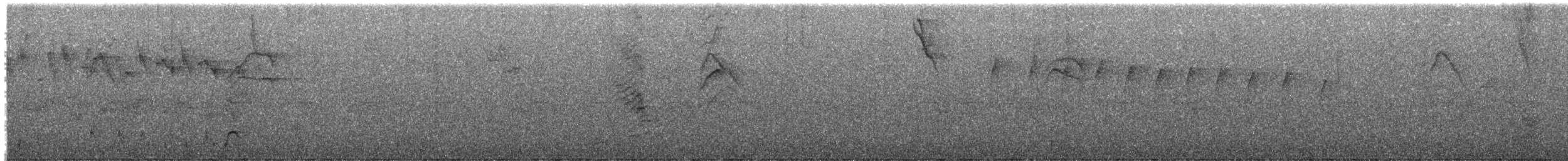 Streaked Xenops - ML645271622