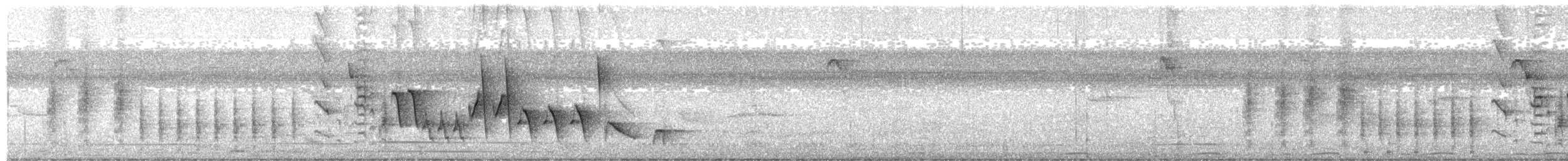 Southern House Wren - ML645272235