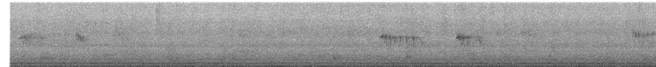 afrikapalmeseiler - ML645272290