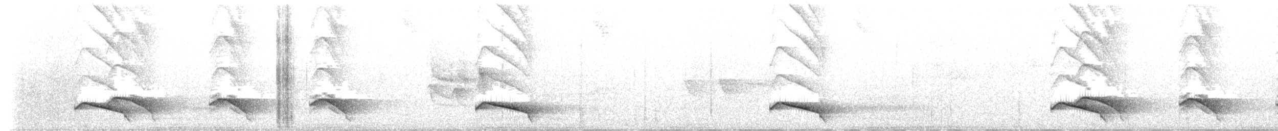 Ocellated Tapaculo - ML645272632