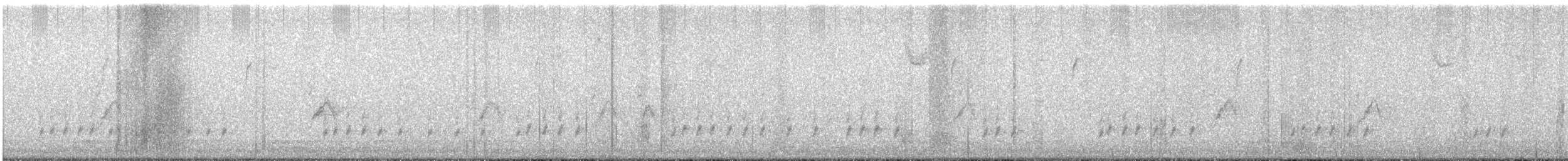 House Sparrow - ML645273819