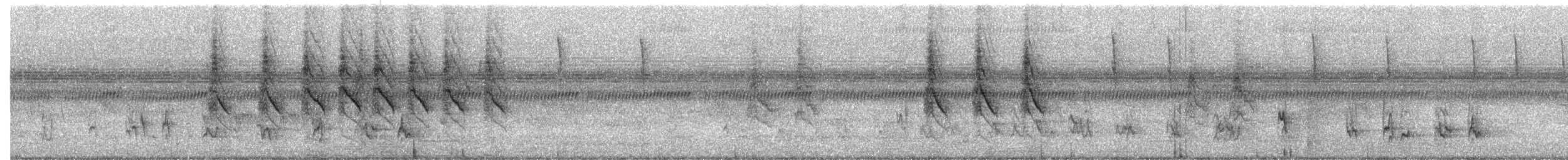 venussolfugl (igneiventris) - ML645274450