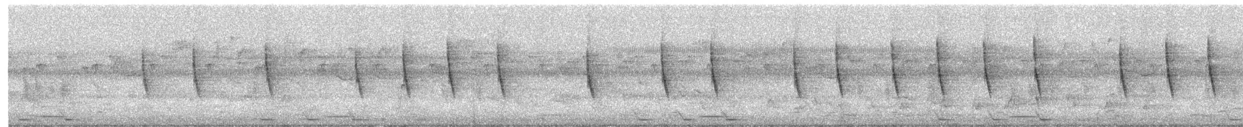 olivenbuksolfugl - ML645274886