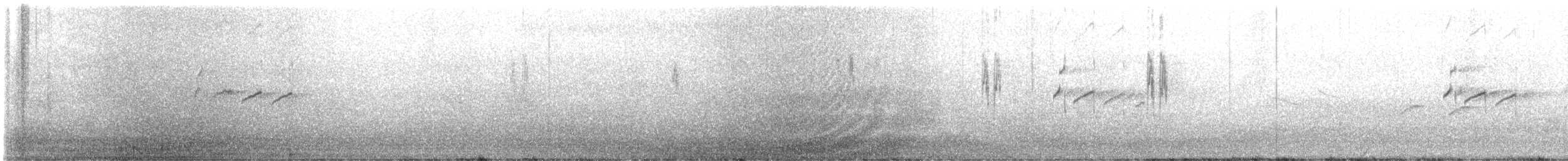 strandsnipe - ML645275109