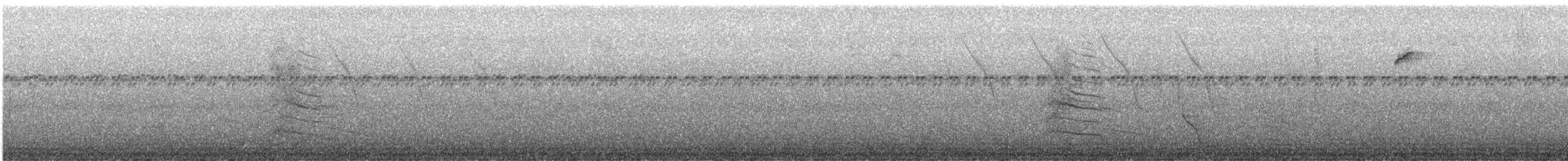 svartkarakara - ML645275269