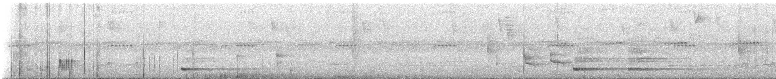 gråkronetodityrann - ML645275479