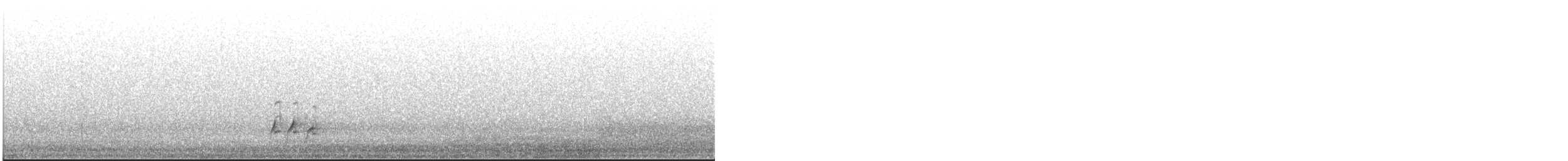 præriesnipe - ML645275493