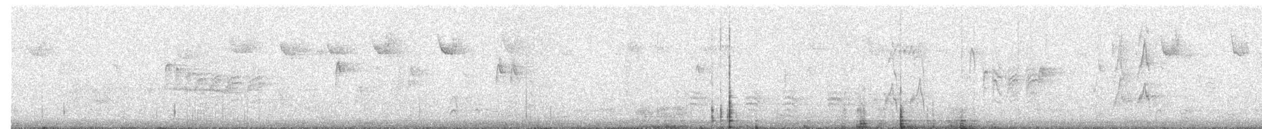 karolinameis x amerikameis (hybrid) - ML645275732