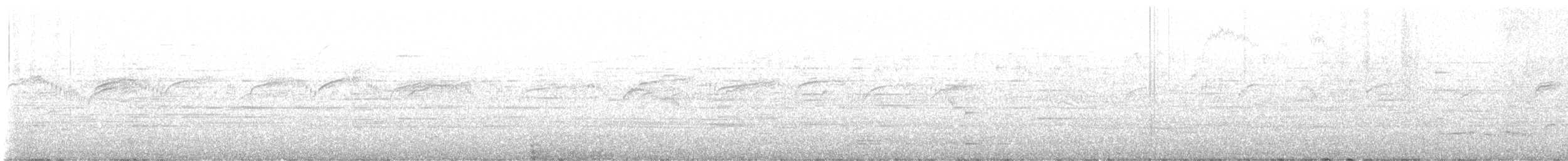 Common Swift - ML645275918