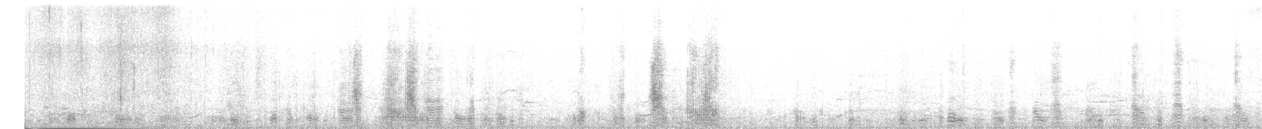 Western Cattle-Egret - ML645276172