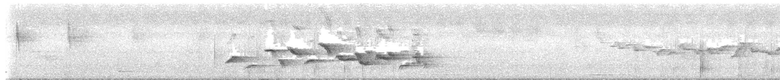 Oriental Magpie-Robin - ML645276331