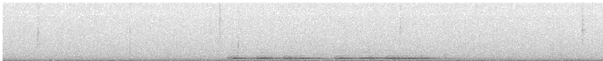 Barred Owl - ML645276591