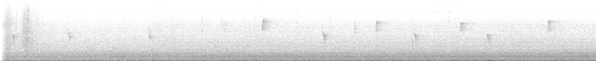 Weißbauch-Phoebetyrann - ML645277094