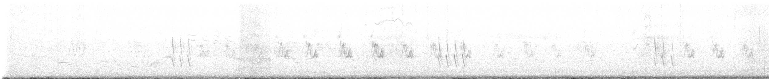 Pardillo Común - ML645277119