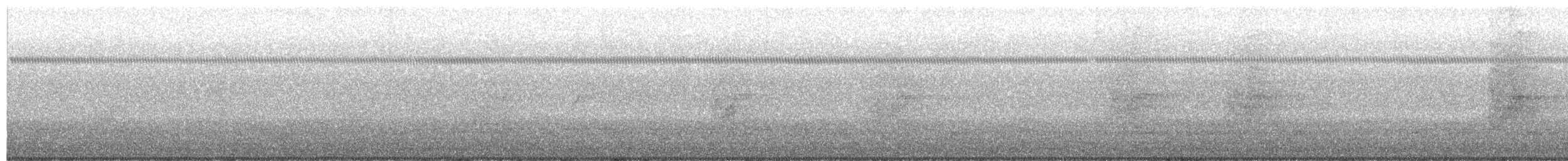 Loro Cabeciazul - ML645277354