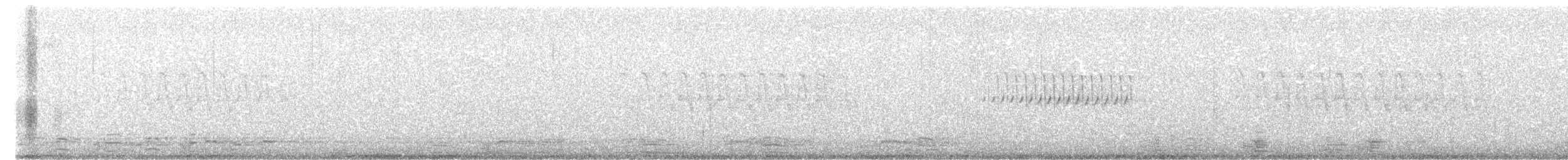 Junco Ojioscuro (Pizarroso) - ML645277374