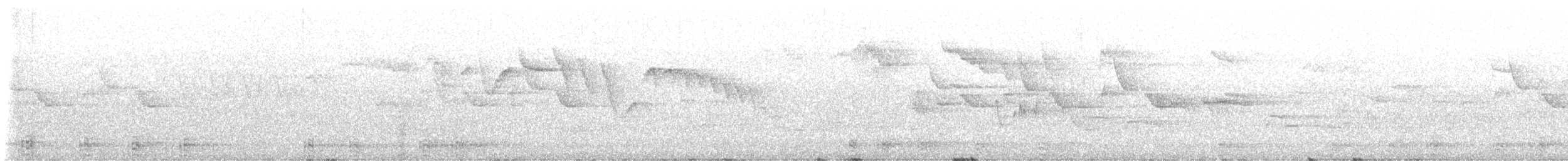 Cuervo Grande - ML645277629