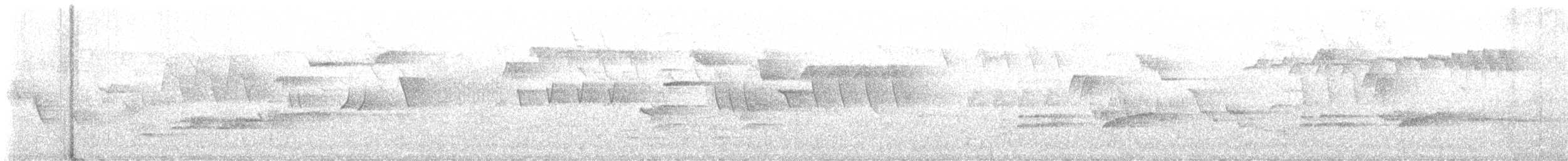 Zorzal Común - ML645277743