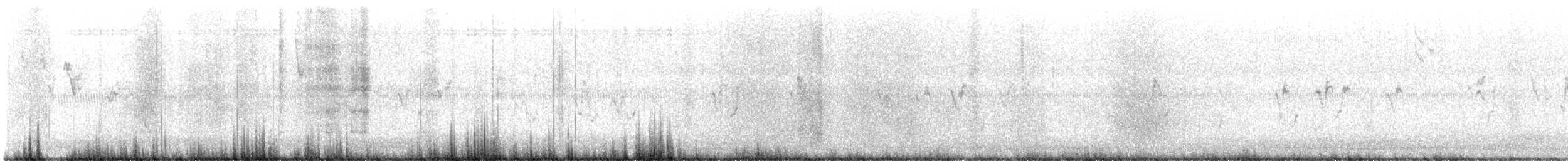 Chingolo Sabanero - ML645277761