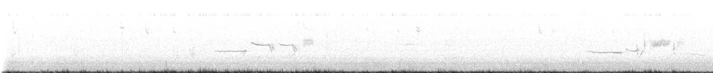 Chingolo Coroniblanco - ML645277776