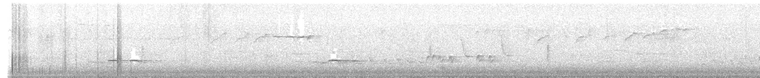 Perlita Grisilla (Oriental) - ML645277811