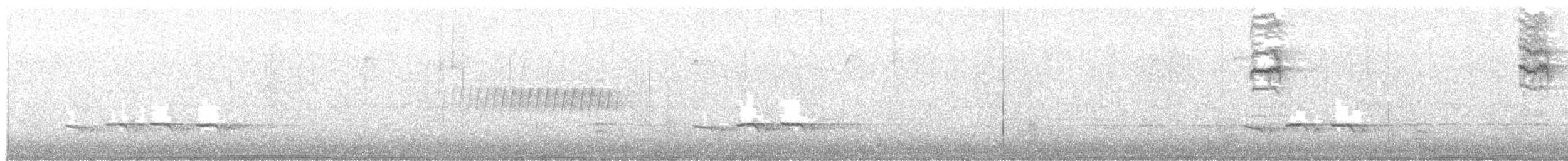 Perlita Grisilla (Oriental) - ML645277822