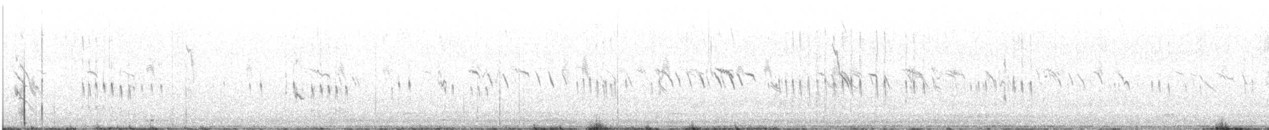 Escribano Lapón - ML645277874