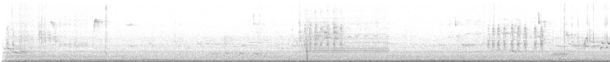 Pito Euroasiático - ML645277893