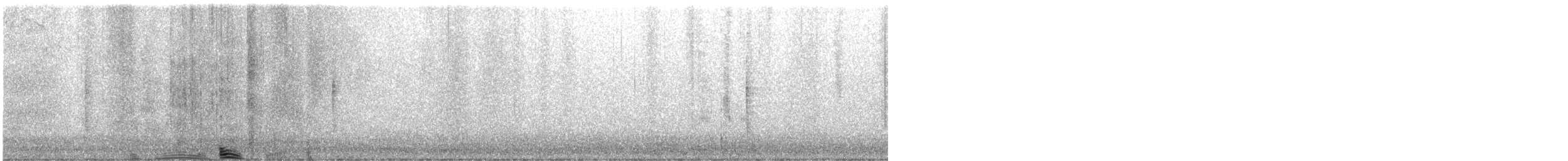 Chingolo Zorruno - ML645278109