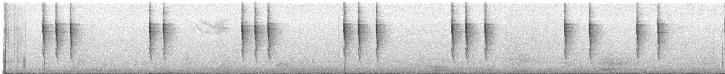 Pacific Wren - ML645278492