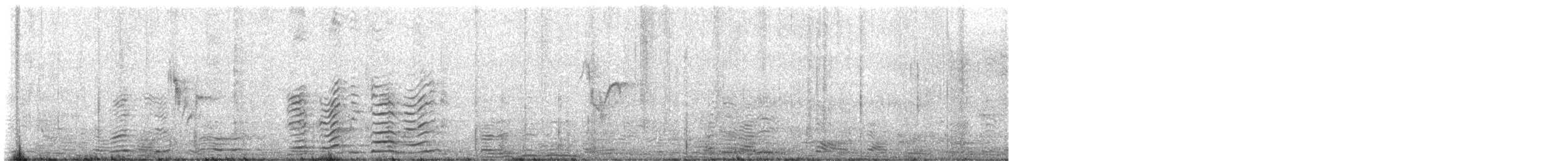 Lavandera Blanca - ML645278586