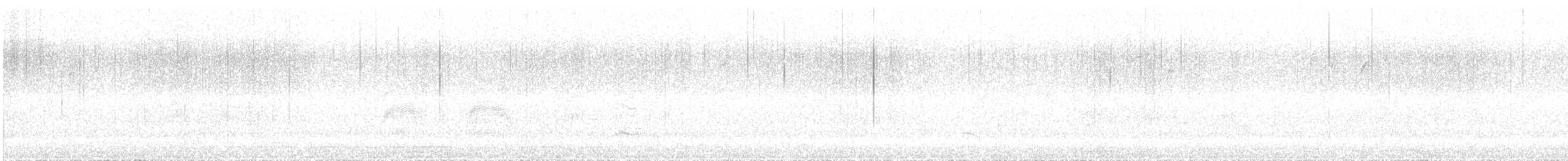 Bonaparte's Gull - ML645279141