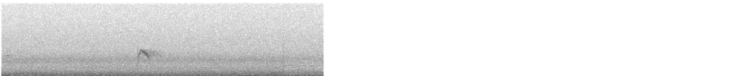 Gray-cheeked Thrush - ML645279331