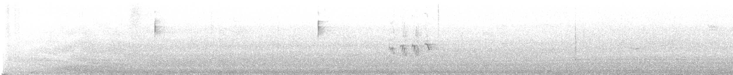 rehek domácí - ML645279407