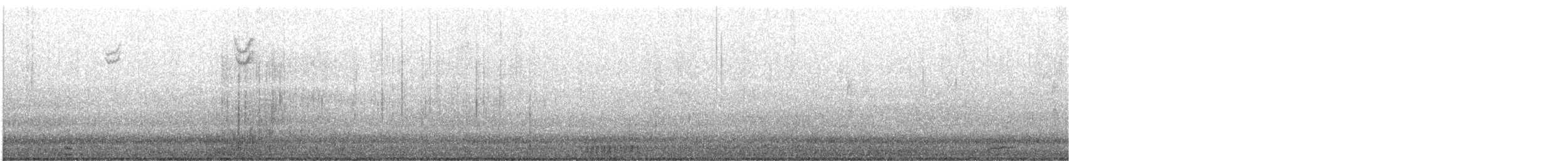 hohol bělavý - ML645279444