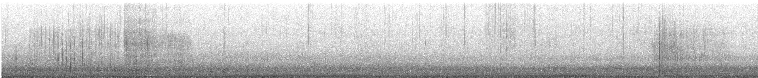 hohol bělavý - ML645279460