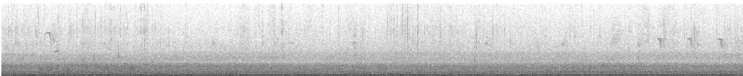 hohol bělavý - ML645279461