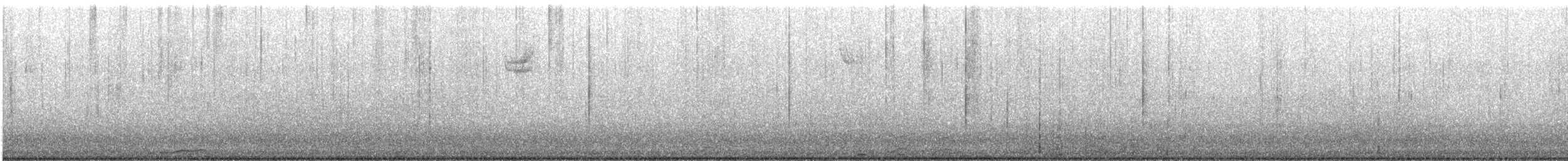 hohol bělavý - ML645279470