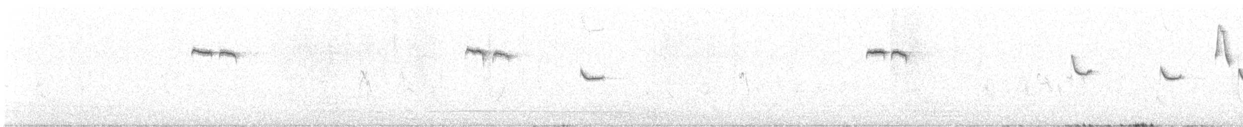 Coal Tit - ML645279598