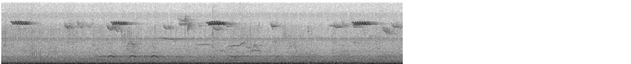 Brown Creeper - ML645279670