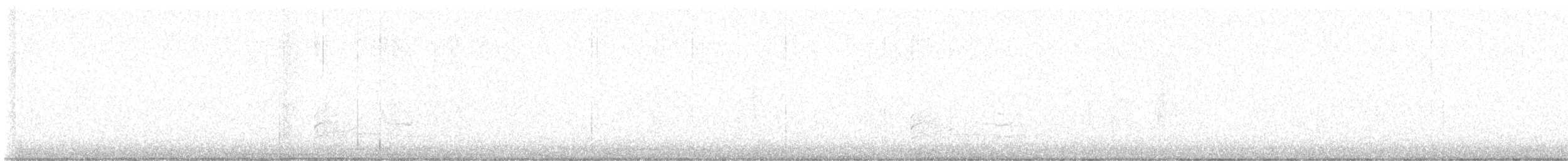 Eastern Gray Squirrel - ML645279942