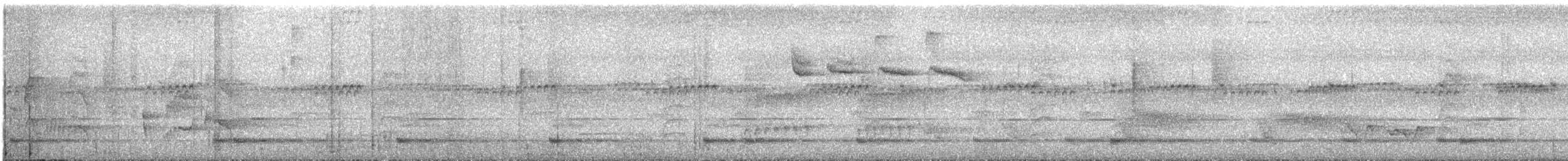 Variable Antshrike - ML645279964