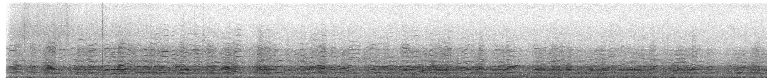 Oca canadese maggiore - ML645280054