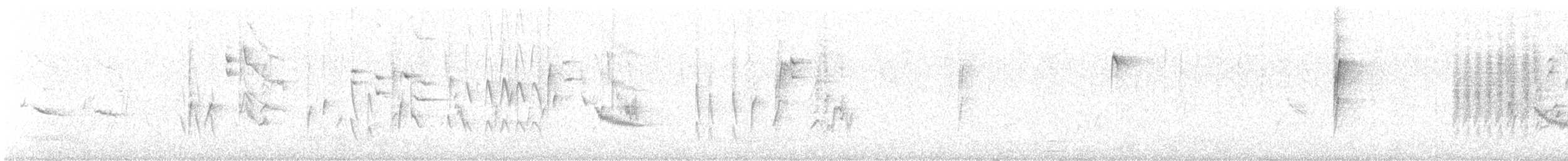 Cardellino - ML645280428